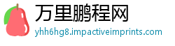 万里鹏程网